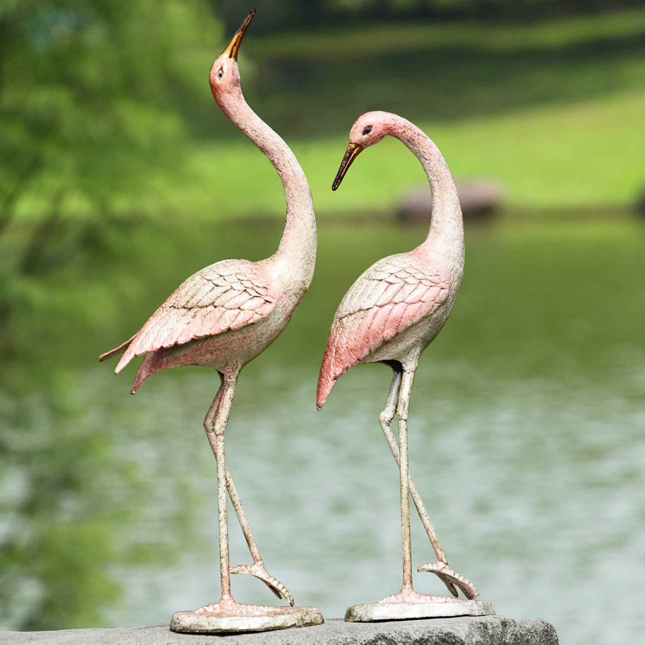 Flamingos